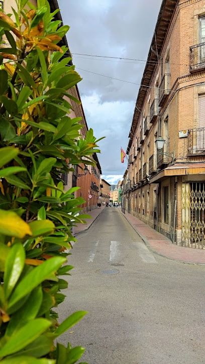 Museo Pintura Toro Bravo