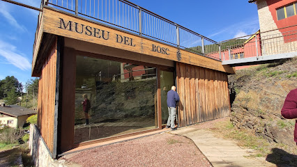 Sequer de les pinyes - Museu del Bosc