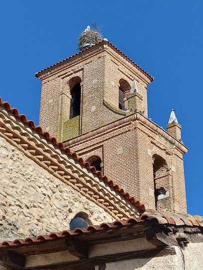 CIDEVIDA - Museo de la Vida
