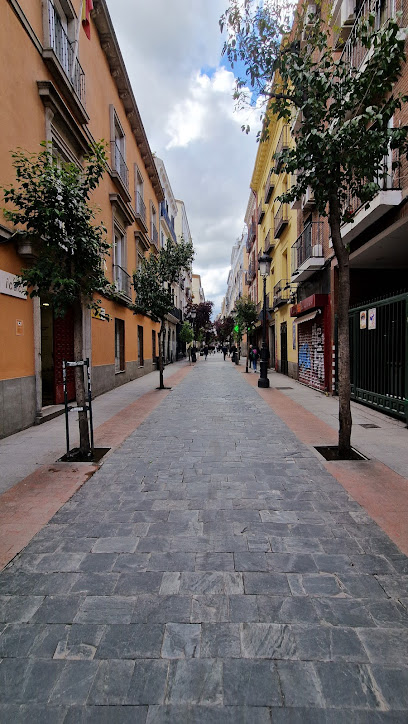 La Celestina Art Studio