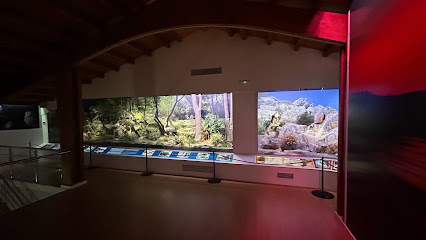 Centro de Usos Múltiples