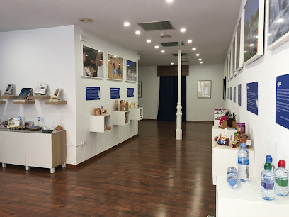 Visitas Guiadas a Sigüenza