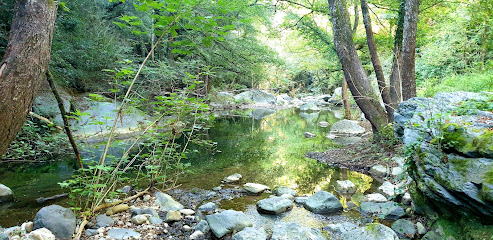 Molí de Can Peradalta
