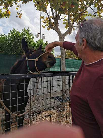 Molí de n'Amengual