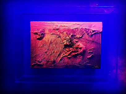 Estudio Artistico José Antonio Quintana