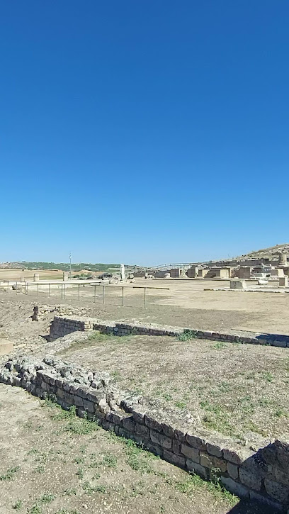 Casa basilical de Segóbriga