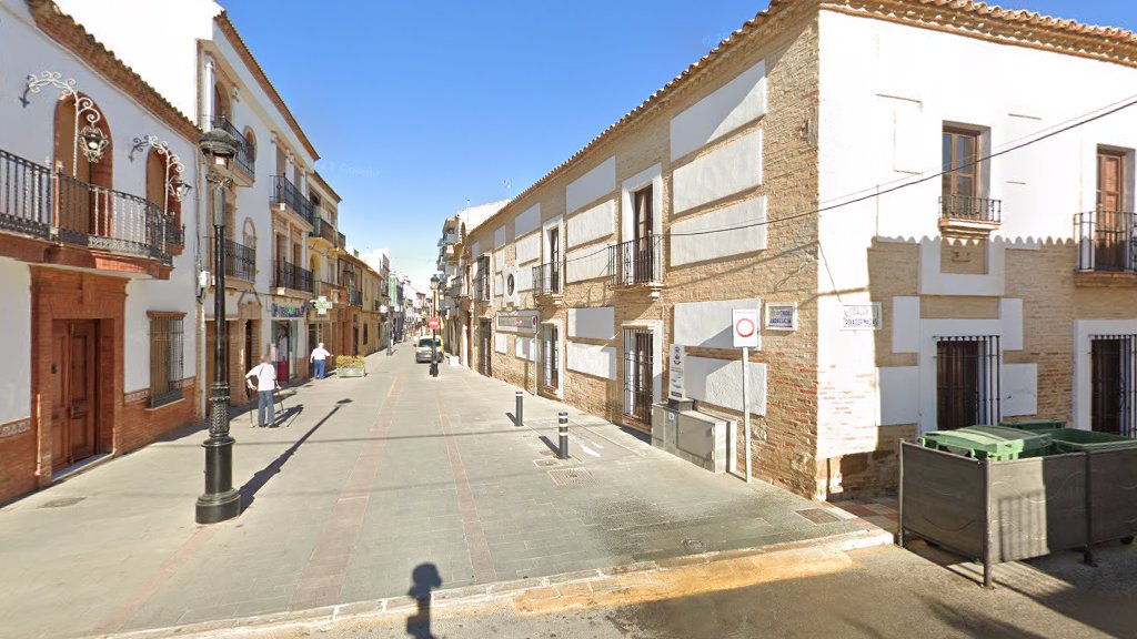 Colecciones museográficas