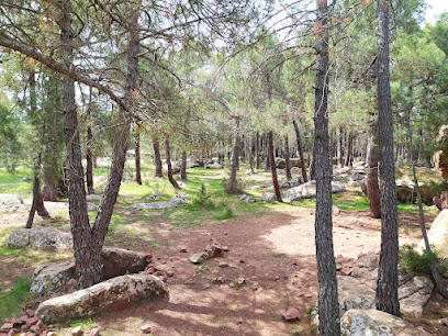 Área Descanso Pinar De Rodemo