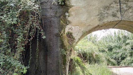 Acueducto perfectamente conservado