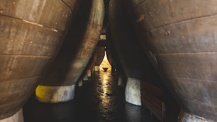 Bodegas Torres Filoso