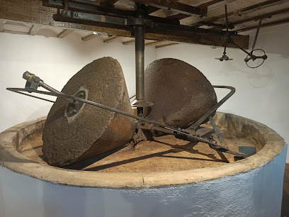 Museo del Aceite Altura