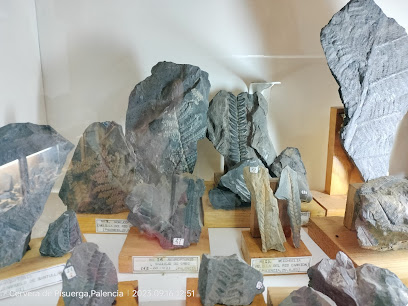 Historia natural y geológica de la provincia de Palencia