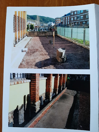 Aula Paleobotánica de Fabero