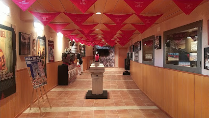 Museo de la Vaquilla