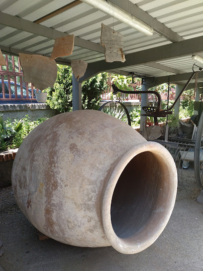 Asociación Vicus Albus