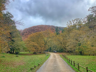 Sendero adaptado Río Bayones