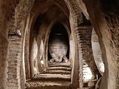 Museo de las Cuevas del Castillejo