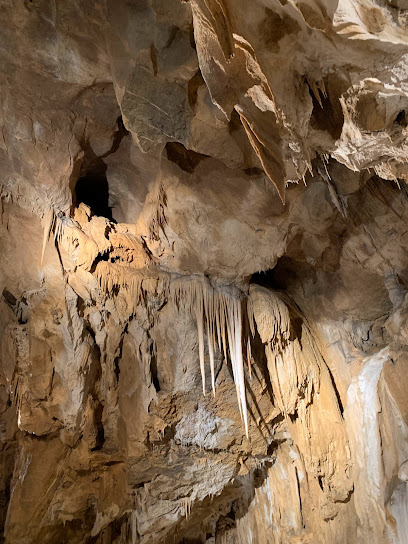 Arrikrutz kobazuloa sarrera