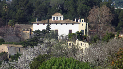 Can Miravitges