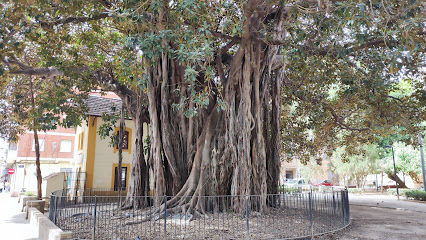 Árbol Monumental