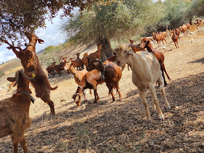 Casa de la Cabra Malagueña