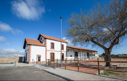 Museo de Historia Local