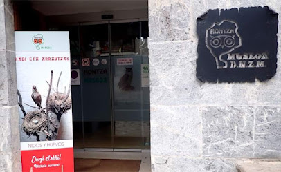 Museo Hontza Fundación