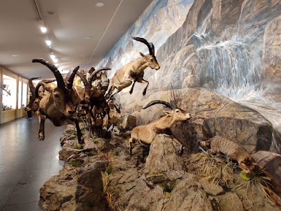 Museo de la Fauna Salvaje