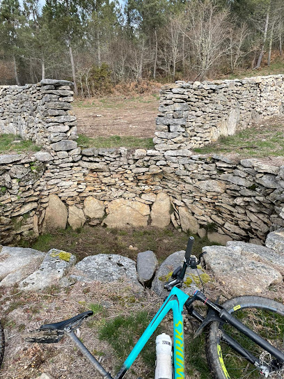 Foxo do lobo de Covateiras