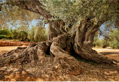 Farga de l'Arión