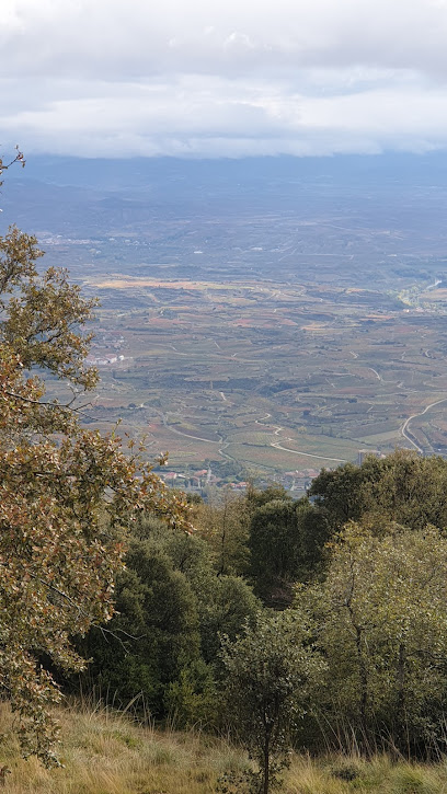 Mirador Laguardia