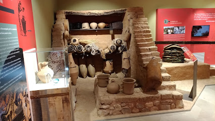 Centre d'interpretació del Jaciment ibèric de la Font de la Canya - D.O. Vinífera