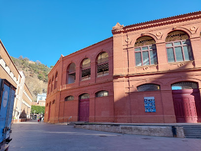 Cofradía Sgdo Descendimiento y Mª Stma. Angustias