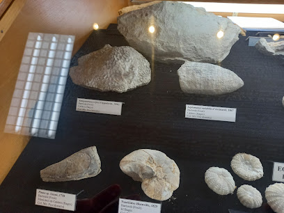 Museu de Geología Valentí Masachs