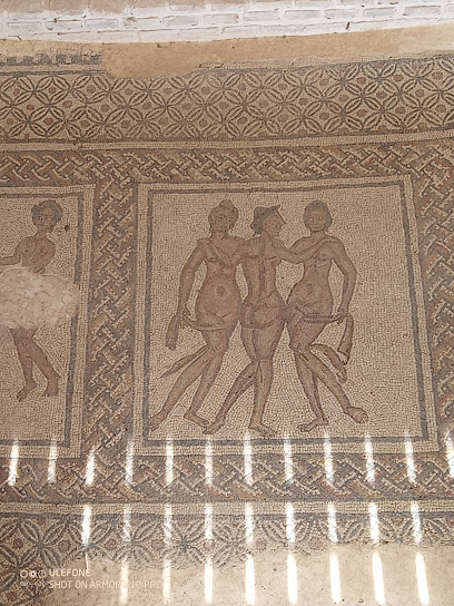 Sitio Arqueológico de la Villa Romana de Fuente Álamo