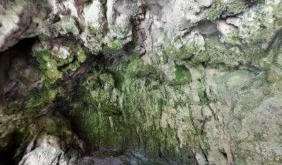 Cuevas De Los Jardines Nazaries
