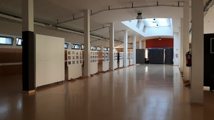 SALA JOSE LUIS CASO ARETOA