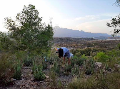 Residencia de Arte Montemero