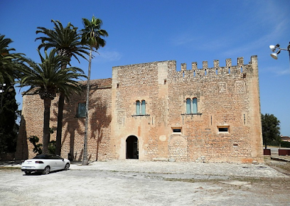 Torre dels Enagistes I Museu de Manacor