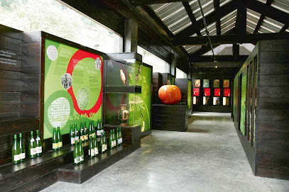 Sagardoetxea - Sagardoaren museoa