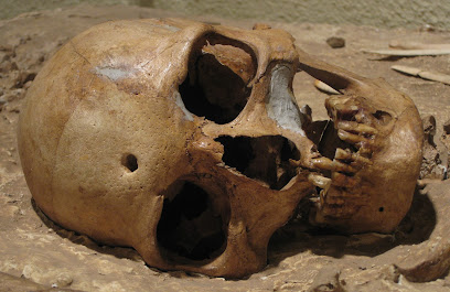 Museu Arqueològic i Paleontològic de Moià