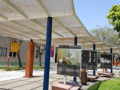 MUDIC Universidad Miguel Hernández
