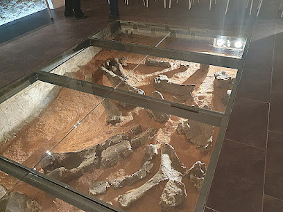 Museo Paleontológico de Alpuente