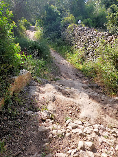 Camí Reial o Camí Vell