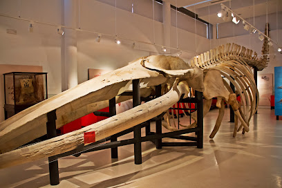 Museo de Ciencias Naturales