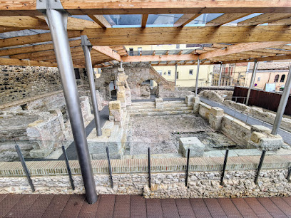 Termes Romanes del Puig de Sant Grau