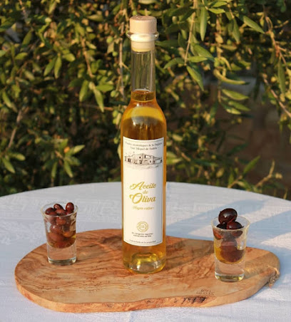 Sant Miquel de Tudela