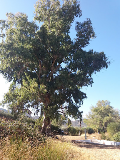 Fuente 'La Herumbrosa'