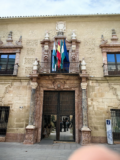 Palacio de los Condes de Santa Ana