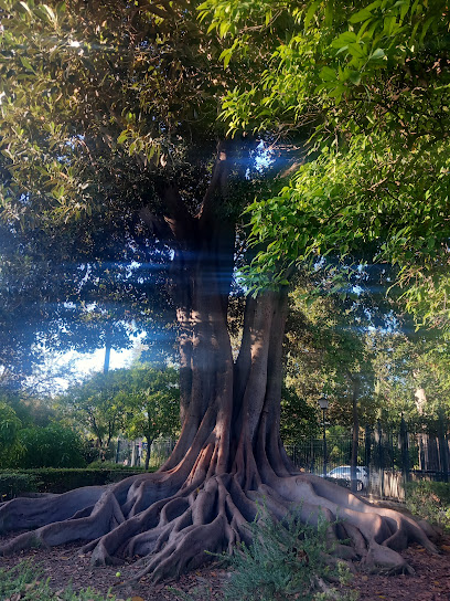 Glorieta de J. García y Ramos